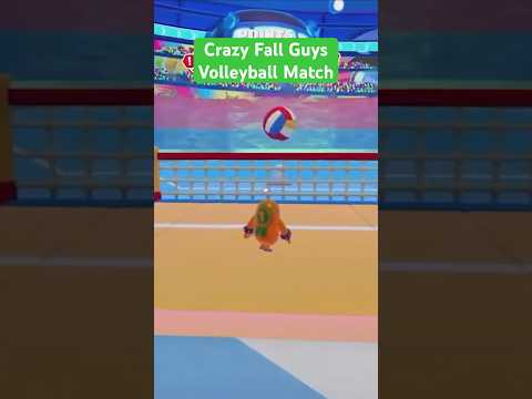 The Most Chaotic Volleyball Match Ever