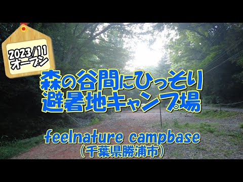 【2023/11オープン】feelnature campbase（千葉県勝浦市）紹介 森の谷間にひっそり避暑地キャンプ場