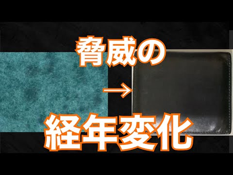 レンマ　lemma マリスコ　ペトローリオ　レビュー　#革財布 #レンマ #lemma #マリスコ　#ペトローリオ　#プエブロレザー　#コンパクト財布 #ココマイスター #メンズ財布　#レザーアイテム