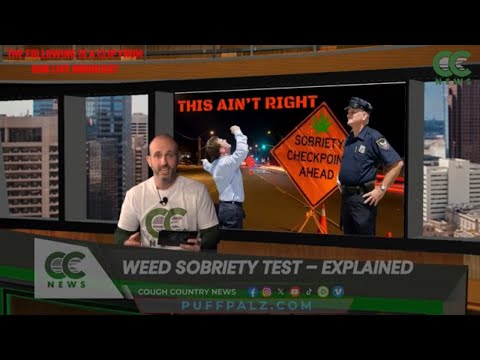 What's the latest on Weed DUI's?