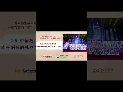 《大话集成电路》08-中国芯片行业：借科创板的风口飞起来了吗？