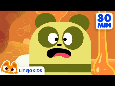 BEES DINOSAURS AND MORE FUN CARTOONS 🐝🦖 Science for Kids | Lingokids