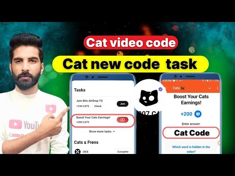 Cats Video code | Boost your cats earnings | cats today update |