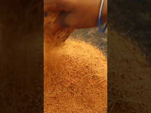 cocopeat prepare at home #cocopeat #gardening #balconygarden #homemadecocopeat #viralvideo #ytshorts