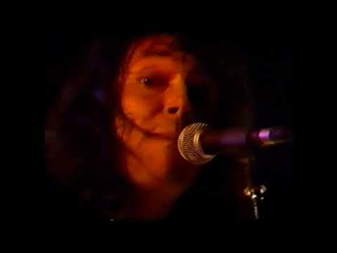 The Fuzztones - 1999 reunion -The bag I'm in