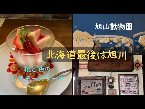 【旭川で1番オシャレなカフェ】雑誌スロウの表紙を飾るほどのオシャレ過ぎるメメちゃんのカフェ！と何度行っても楽しい旭山動物園 #北海道 #旭川 #旭山動物園  #アルバイト募集 #キッチンスタッフ募集