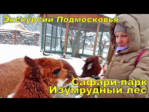 Safari Park Emerald Forest, Excursions near Moscow