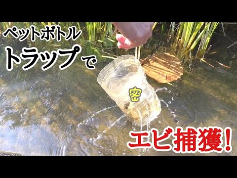 トラップ作って食材調達！美味しくいただきまーす！！