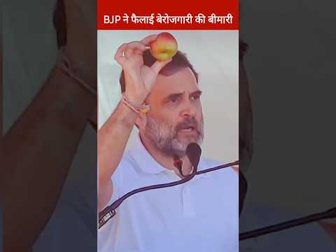 राहुल गांधी का हरियाणा में बीजेपी पर जोरदार हमला, Rahul Gandhi, Haryana Vidhansabha election