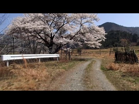 府道12号線(50号線合流→向山橋→向山ゆず園)@230401_125446