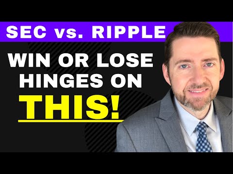 Lawyer Jeremy Hogan Discusses: SEC v. Ripple Case Hinges on THIS.  Cameos, Transcripts and Analysis!