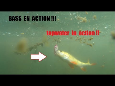 Bassfishing  !! En baitfiness ! Le tout en casting