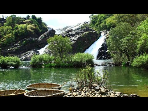 Bharachukki falls