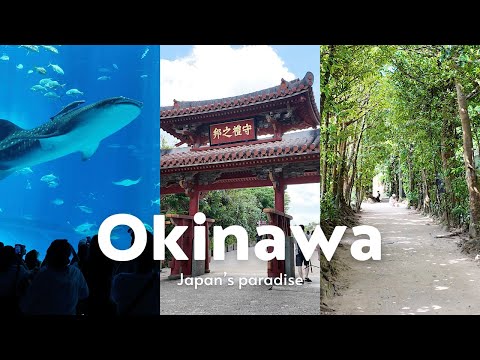 A week in Okinawa, Japan’s paradise vol.2 🇯🇵🐠 Solo travel VLOG 📸