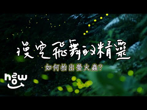 攝影小妙招 #01 螢火蟲怎麼拍？漫空飛舞的精靈  I 攻略