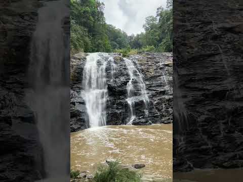 Mesmerising sight of Abbey Falls cascading down the cliff in Coorg, Karnataka!