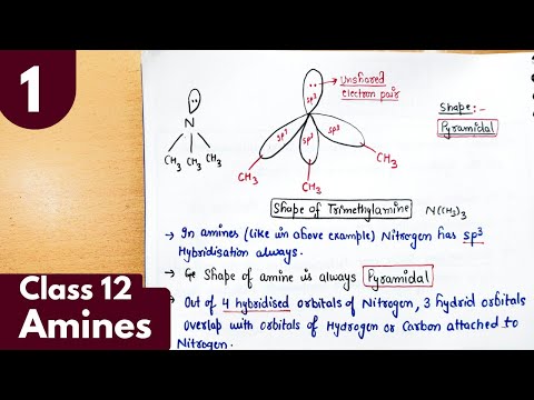 1) Amines| Structure of Amines| Chapter-9 organic chemistry class 12 #neet #jee #chemistry