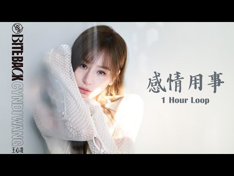 王心凌CYNDI WANG《感情用事Sentimental》｜♾️一小時循環播放1 Hour Loop♾️｜2023全新專輯 BITE BACK