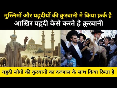 आख़िर यहूदी धर्म में क़ुरबानी कैसे की जाती है । Complete History Of Qurbani In Jews - Network Flight