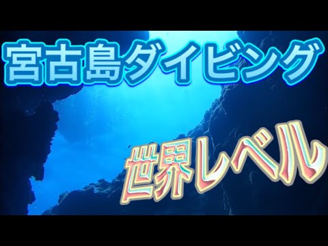 宮古島ダイビング　世界レベルの洞窟探検に感動