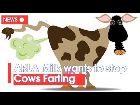 ARLA wants to stop Cows Farting