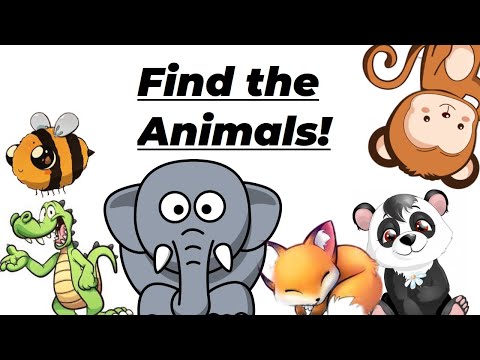 FInd the Animals!