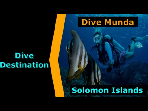 Diving Solomon Islands,Dive Munda, Destination Spotlight for Scuba.Digital The #1 Online Dive Show