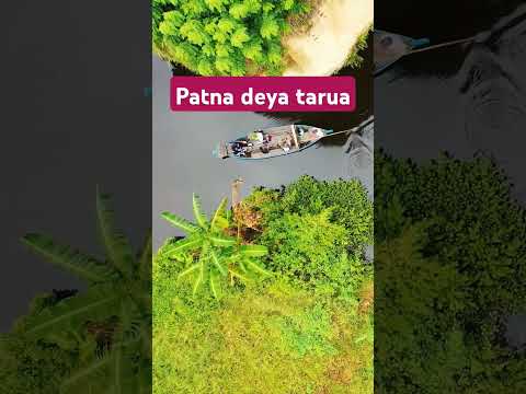 Patna Deya tarua Karnail Rana song|Himachali Song|