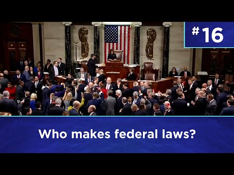 Q16: Who makes federal laws?