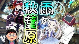 （夜編） 雨の秋葉原を徘徊しました （作業用動画） It rained in Akihabara.