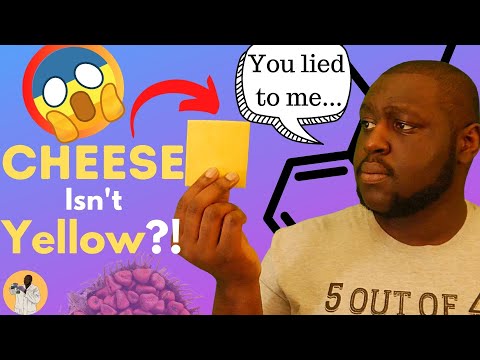 Cheese Isn't Yellow?! | At The Benchtop #6