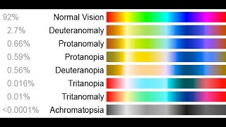 HOW TO SEE THE WORLD AS A COLORBIND PERSON