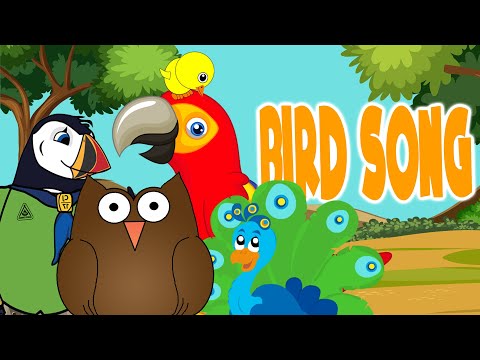 The Bird Song | Kids Learning Videos | LittleKidsTV