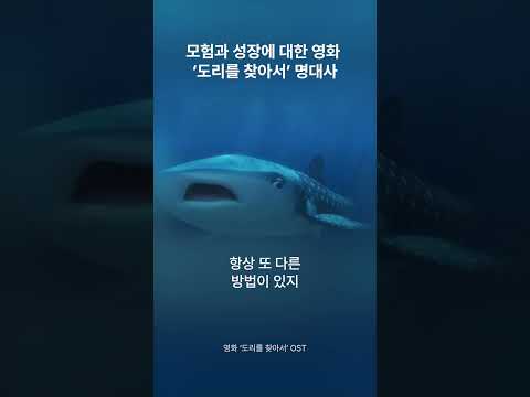 좌절하지 않는 무한긍정 물고기 ’도리를 찾아서’ 명대사🐠