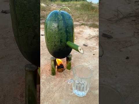 Survival skills: steam bad water in watermelon #bushcraft #camping #outdoors