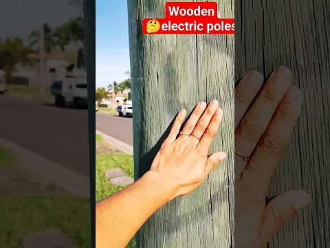 wooden electric poles.. utility poles #new #trend #australia #viral #shorts #youtube #idea 🤔🇦🇺🦘👍🐨🤔