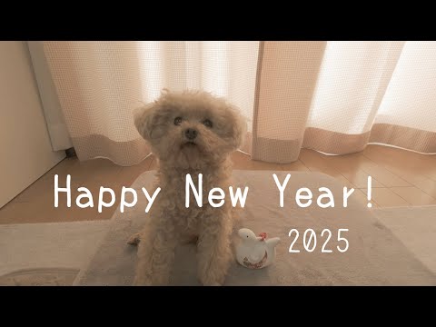 【謹賀新年】愛犬と過ごすお正月｜犬用おせち