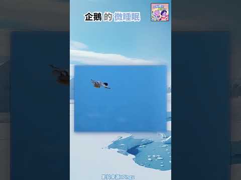 每天睡一萬次覺的企鵝🐧｜一分鐘科學新鮮事 EP84 #shorts