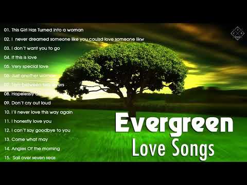 Best Evergreen Love Songs Memories - Nonstop Cruisin Romantic Love Song Collection HD