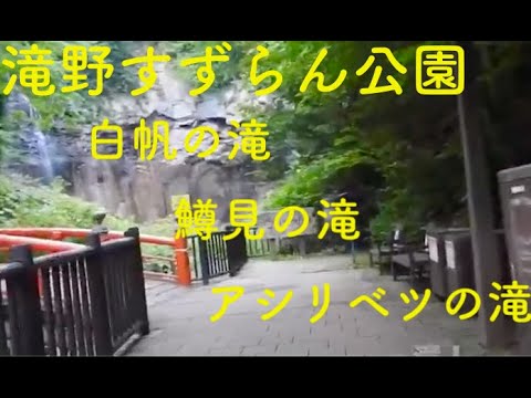 札幌滝野すずらん公園８月の風景・エゾリス、白帆の滝、アシリベツの滝、鱒見の滝