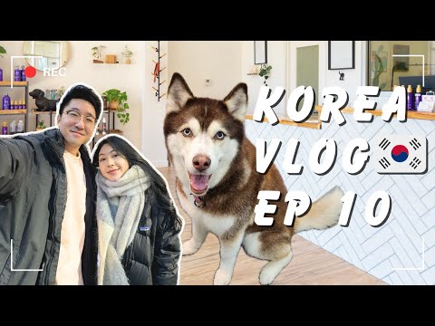 Husky gets a Spa Day in Korea. Why do stores here have NO WORKERS!?