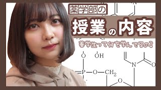 薬学部の講義内容とは！？どんな事勉強してるの？【薬学部女子】