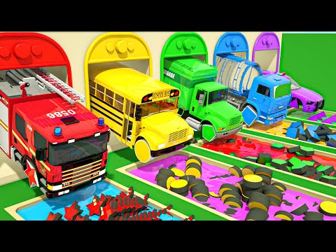 Bingo Song + Wheels On the Bus - Different shapes wheels - Baby Nursery Rhymes & Kids Songs