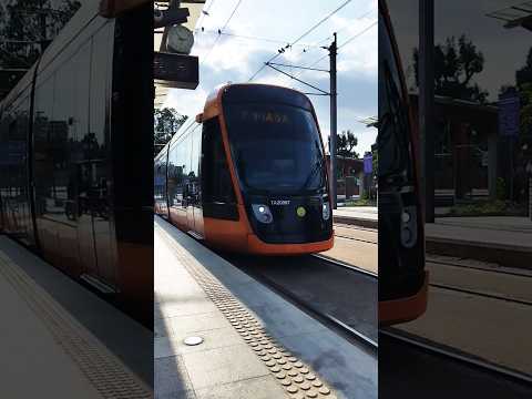 Tram