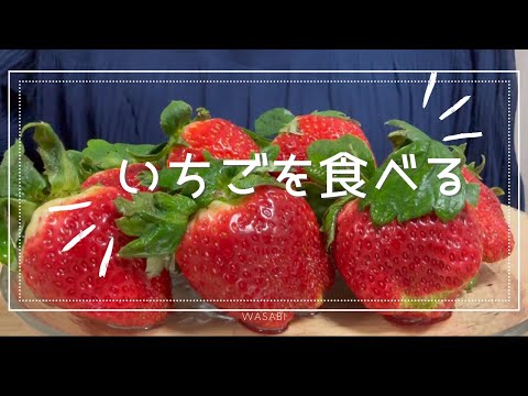 【咀嚼音】いちごを食べる【asmr 】食べる音/eating sounds