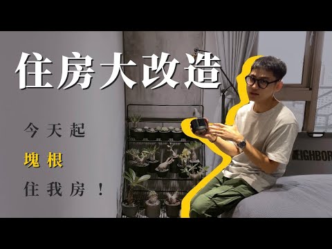 今天起塊根住我房!! 住房大改造Ft.【不專業DIY】