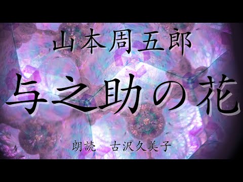 【朗読】山本周五郎「与之助の花」