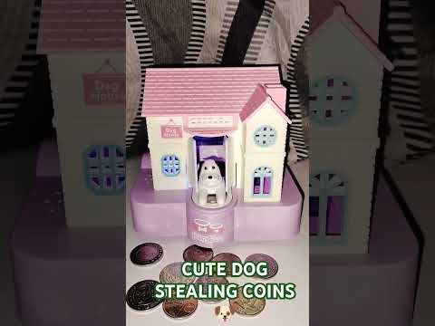 Most Cute Dog Stealing Coins Asmr 🐶🌈#shortsfeed #shorts #trending #viralvideo #funny #satisfying