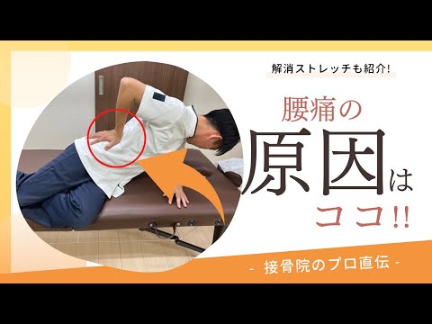 【季節の変わり目に起こる腰痛】朝、起きると必ず腰が痛い。最近、朝晩が冷えてきたせいか腰が痛い日が多い。お風呂上がりは腰が楽な人は必見。そんな方へのストレッチ！