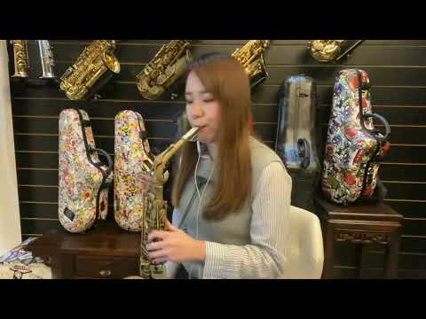 這世界那麼多人  Saxophone cover/ 佐拉薩克斯風